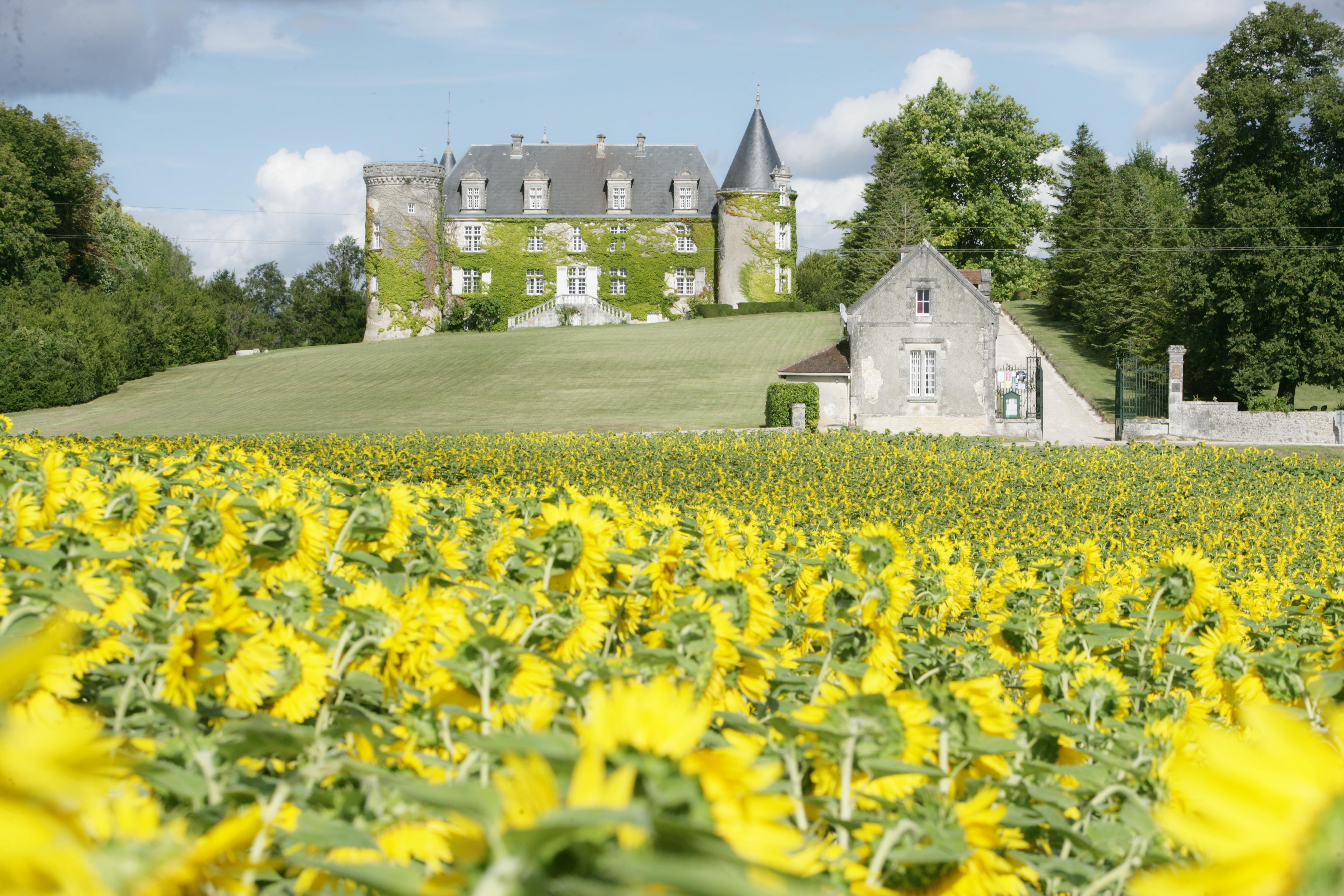 Hotel & Spa Chateau De La Cote - Brantome Biras Dış mekan fotoğraf