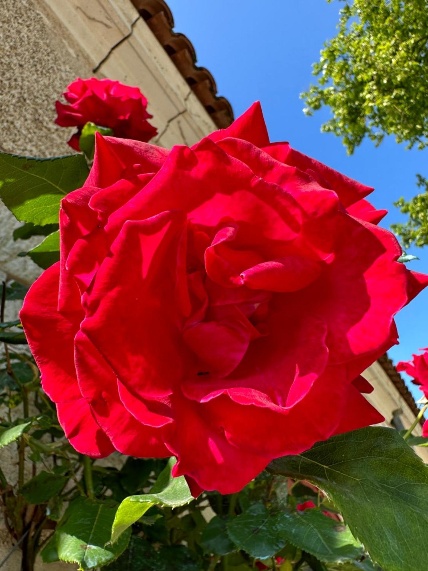 Hotel & Spa Chateau De La Cote - Brantome Biras Dış mekan fotoğraf