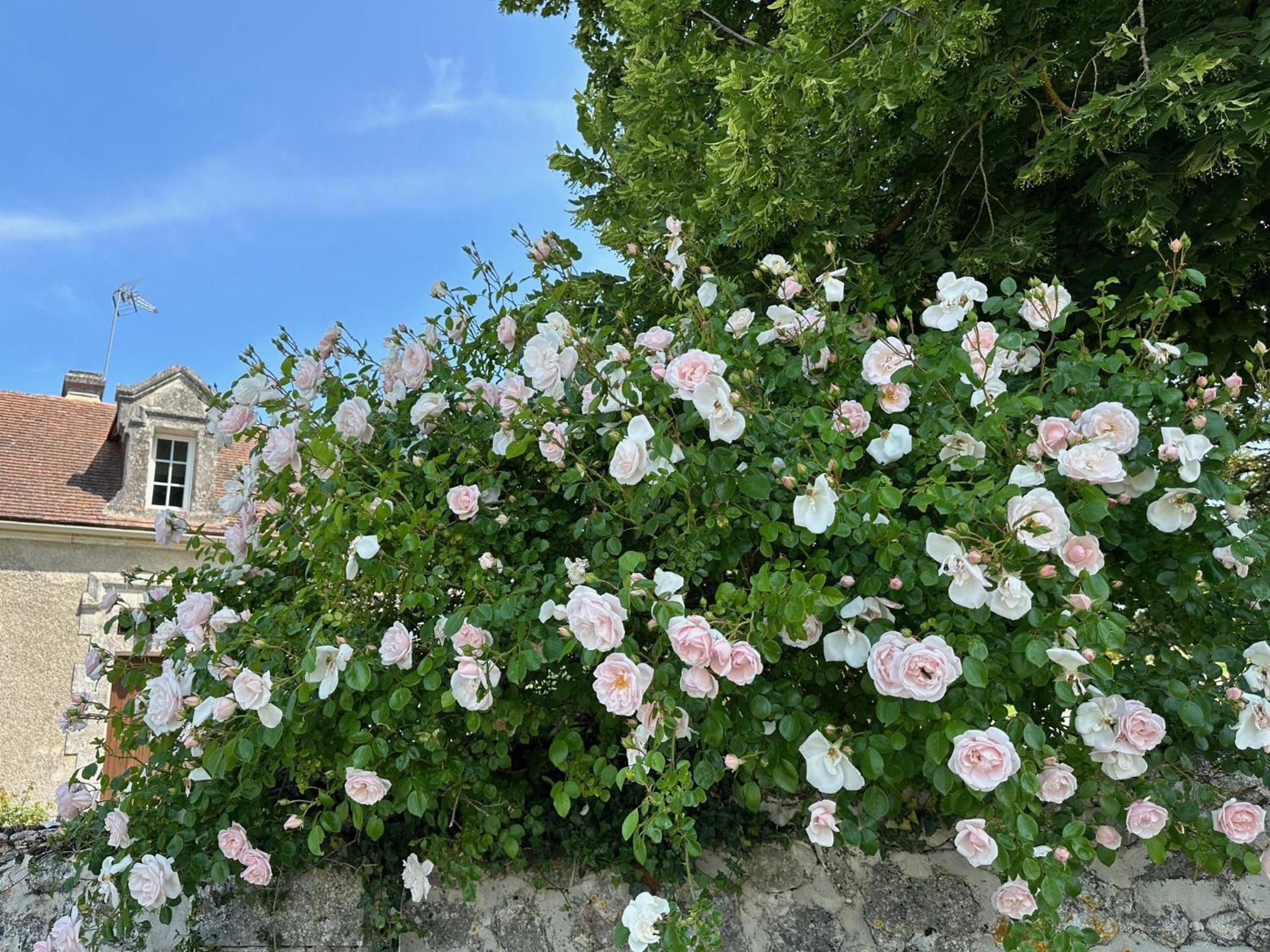 Hotel & Spa Chateau De La Cote - Brantome Biras Dış mekan fotoğraf